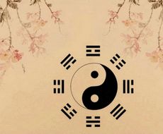 阴阳辩证师